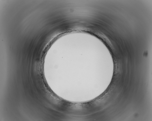 X0000091470828200708161126