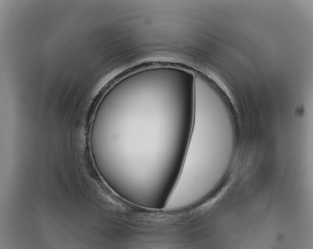 X0000091470829200708161126