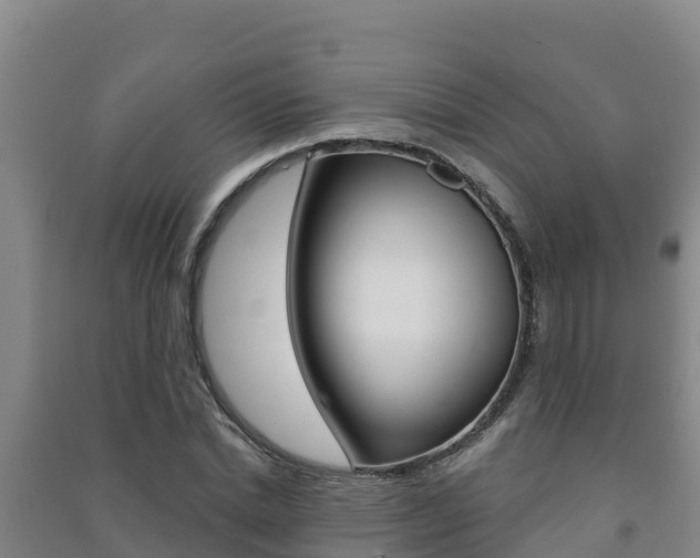 X0000091470830200708161126