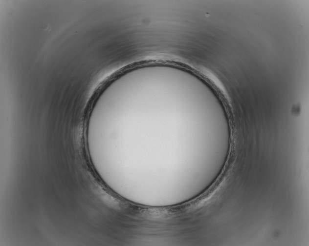 X0000091470831200708161126