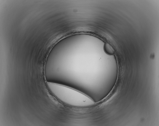 X0000091470833200708161126