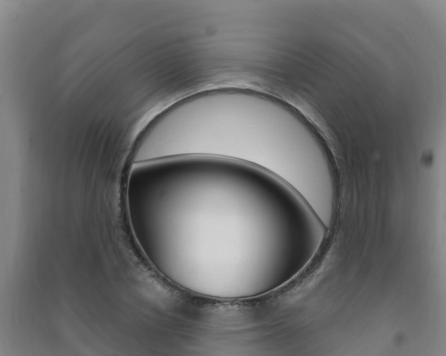 X0000091470834200708161126