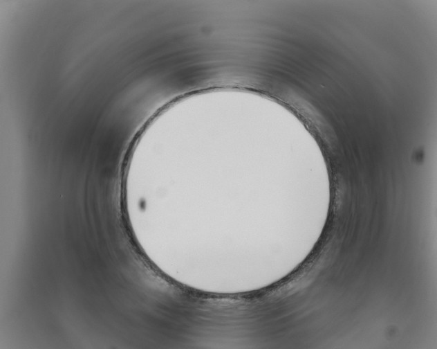 X0000091470836200708161126