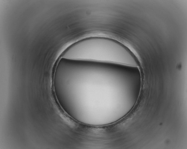 X0000091470837200708161126
