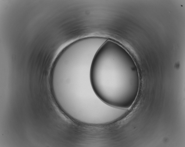 X0000091470838200708161126