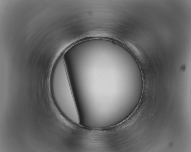 X0000091470840200708161126