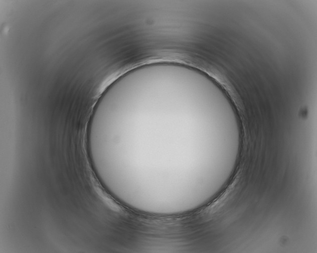 X0000091470842200708161126