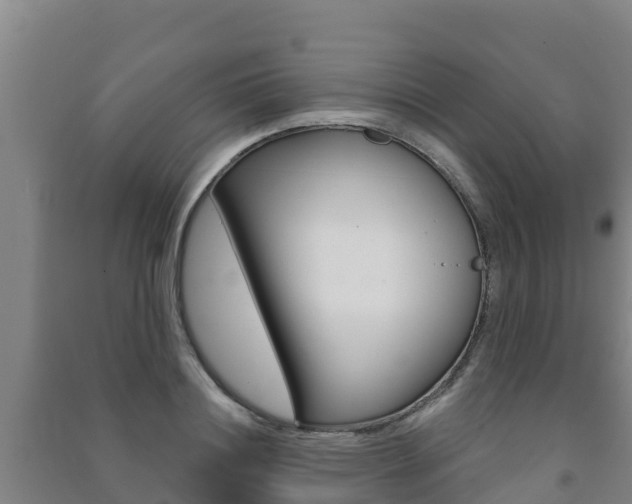 X0000091470844200708161126