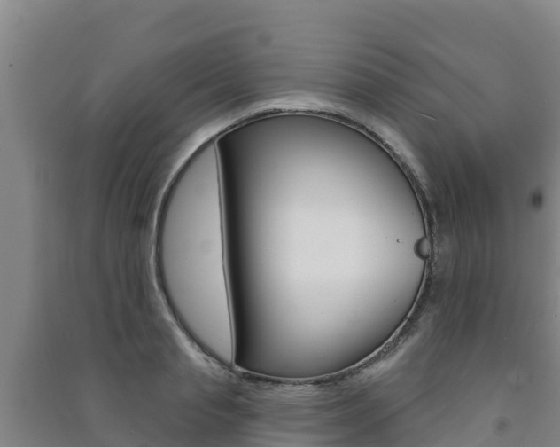 X0000091470845200708161126