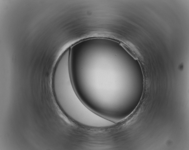 X0000091470846200708161126