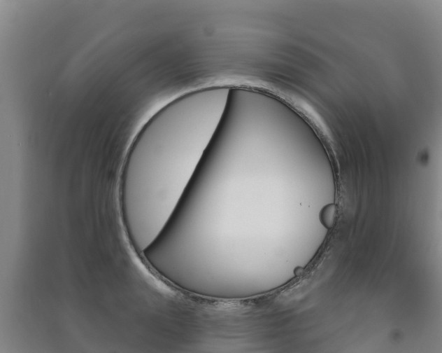 X0000091470847200708161126