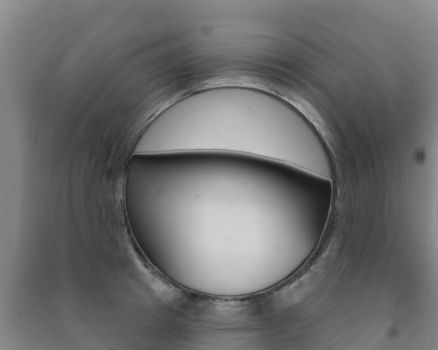 X0000091470849200708161126