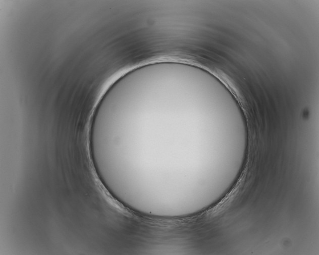 X0000091470854200708161126