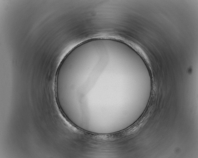 X0000091470855200708161126