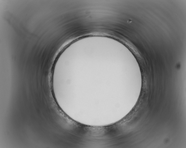 X0000091470856200708161126