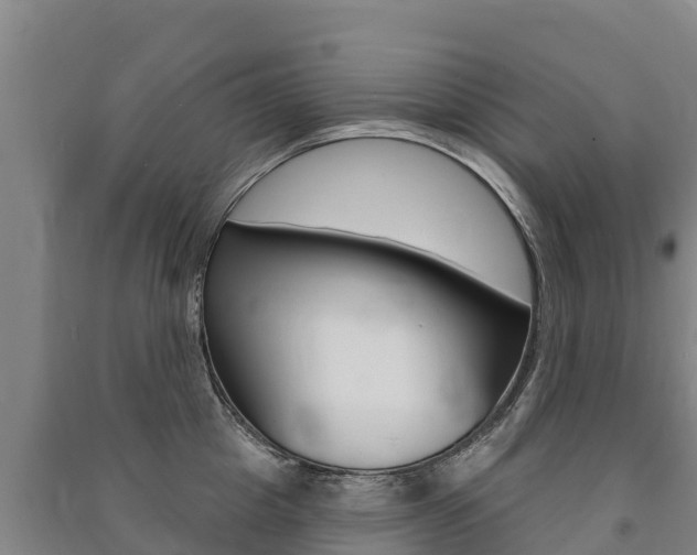 X0000091470857200708161126