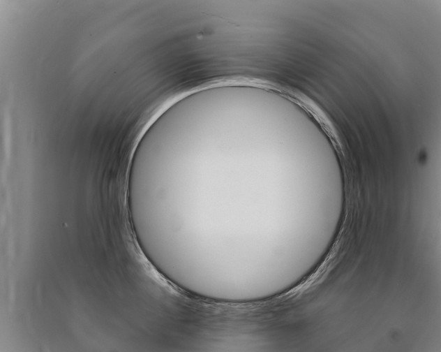 X0000091470860200708161126