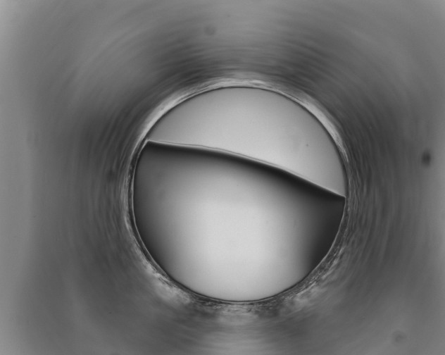 X0000091470861200708161126