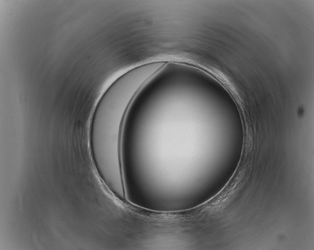 X0000091470862200708161127