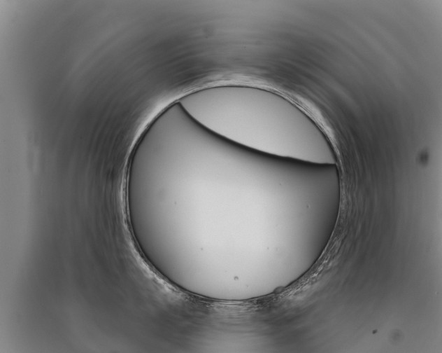 X0000091470863200708161127