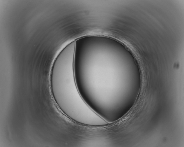 X0000091470864200708161127