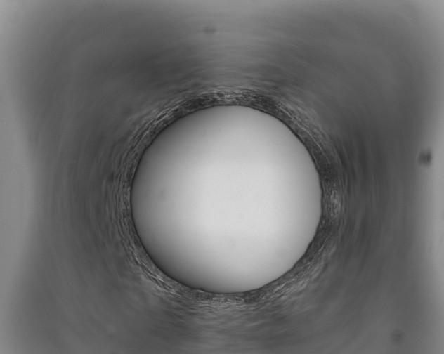 X0000091470865200708161126