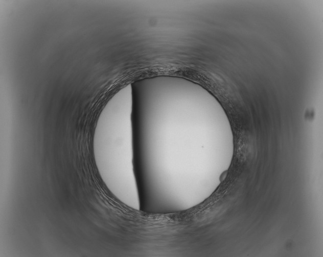 X0000091470866200708161126