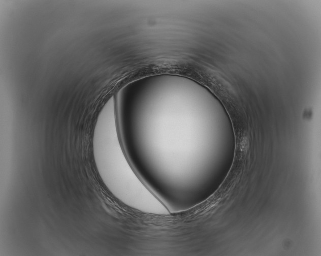 X0000091470868200708161126