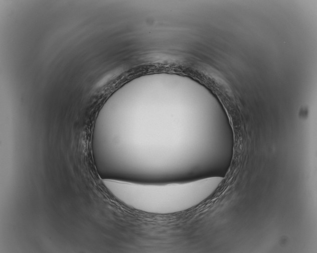 X0000091470869200708161126