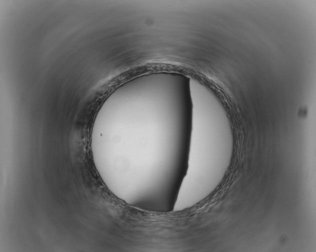 X0000091470870200708161126