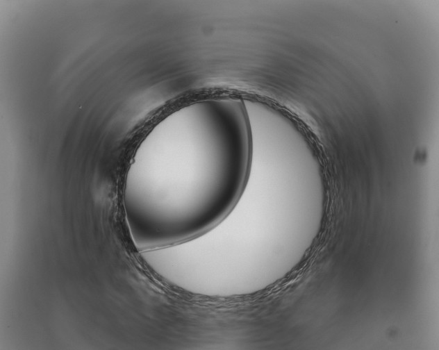 X0000091470872200708161126
