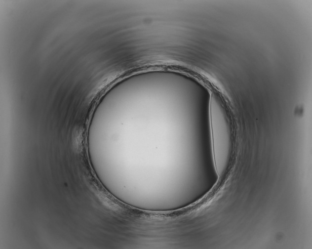 X0000091470873200708161126