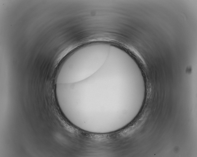 X0000091470874200708161126