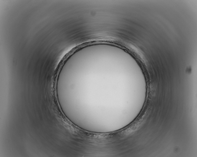 X0000091470875200708161126