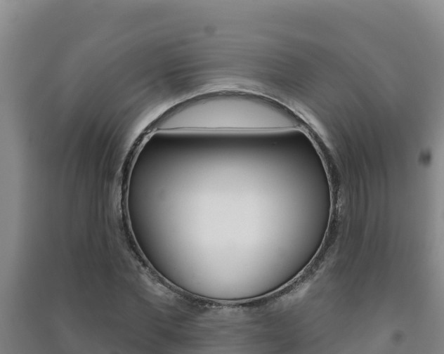 X0000091470877200708161126