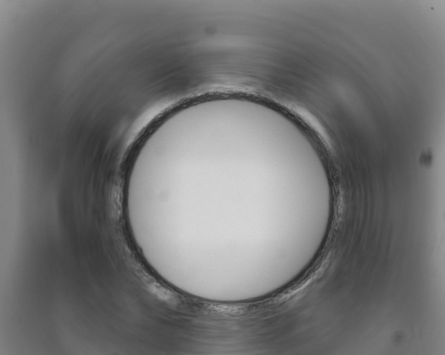 X0000091470878200708161126