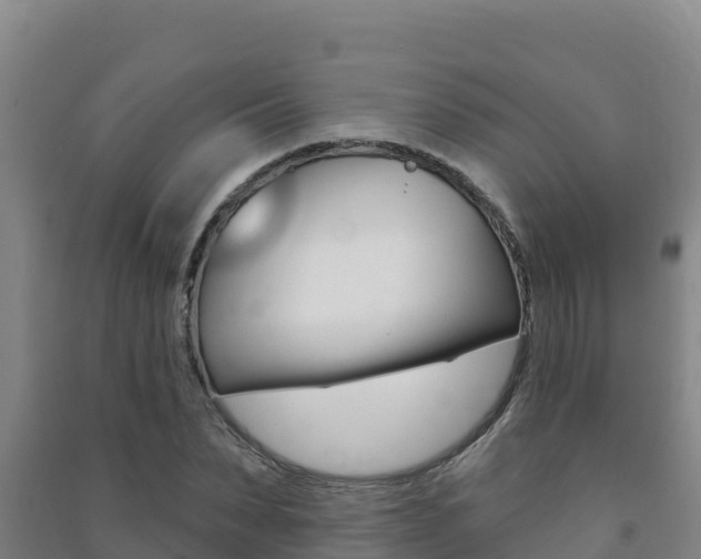 X0000091470879200708161126