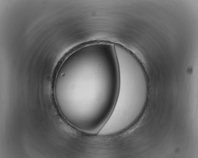 X0000091470880200708161126