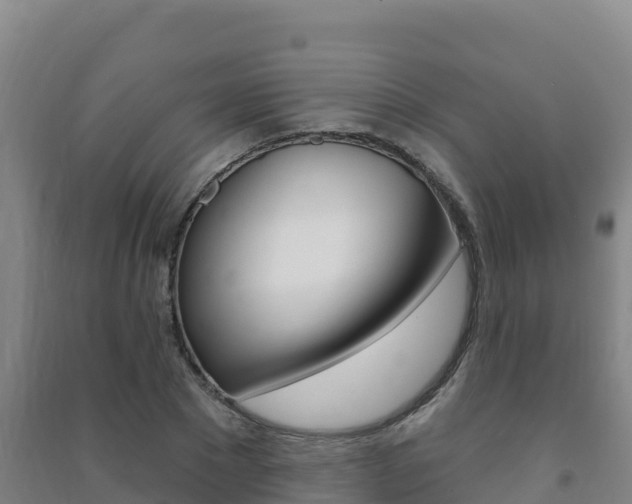 X0000091470881200708161126