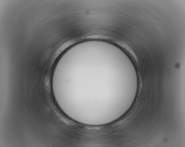 X0000091470882200708161126
