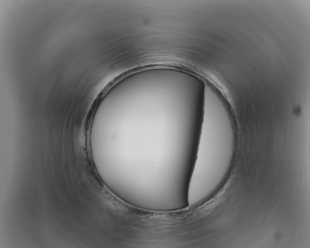 X0000091470883200708161126