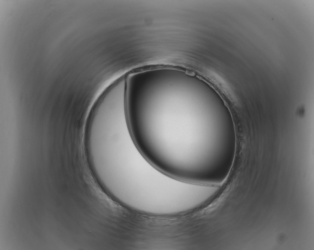 X0000091470884200708161126