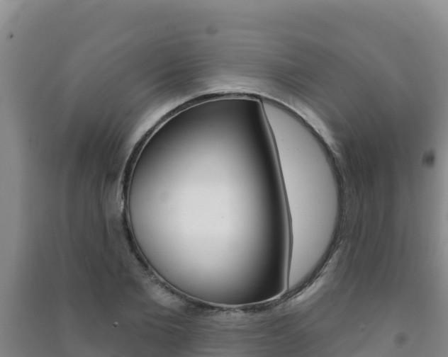 X0000091470885200708161126