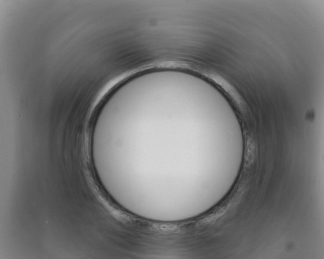X0000091470886200708161126
