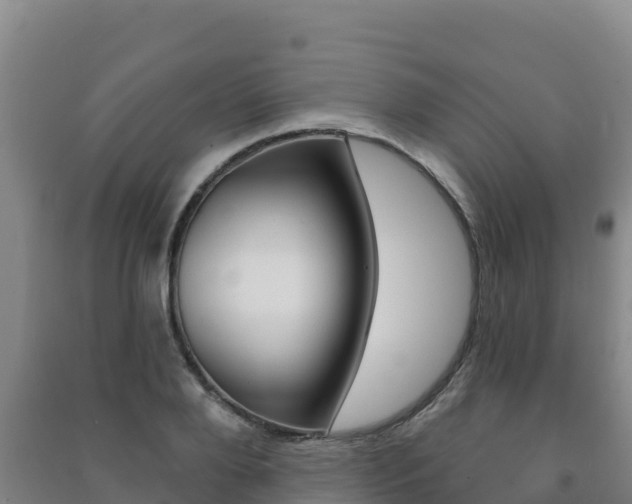 X0000091470888200708161125