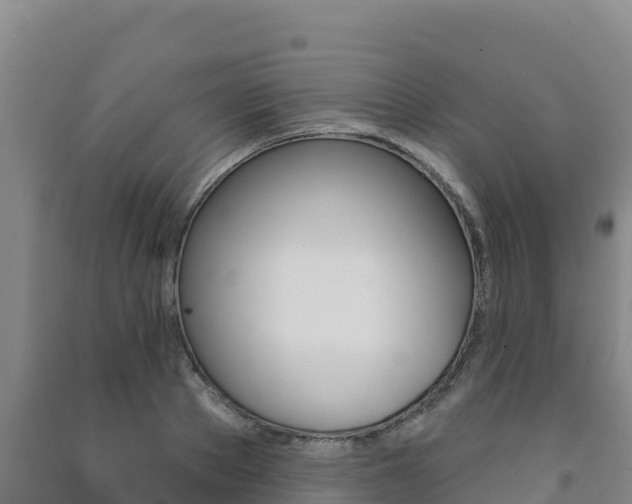 X0000091470889200708161125