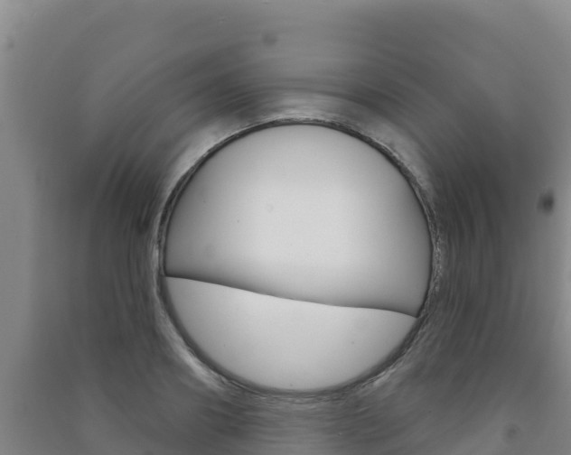 X0000091470890200708161125