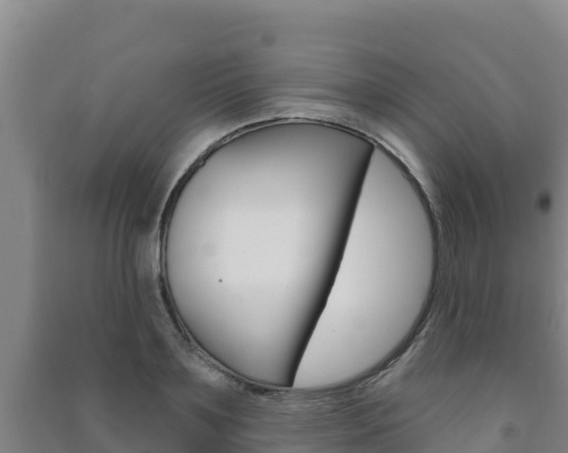 X0000091470891200708161125