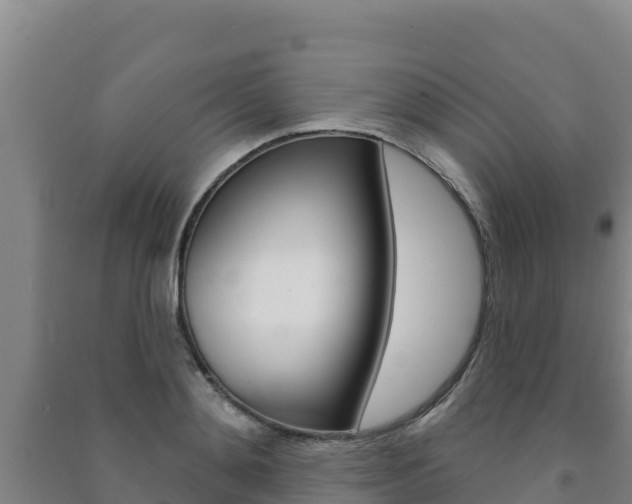 X0000091470892200708161125