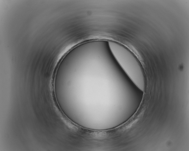 X0000091470893200708161125